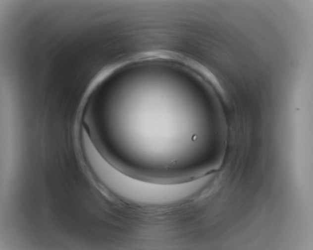 X0000114081373200910131228