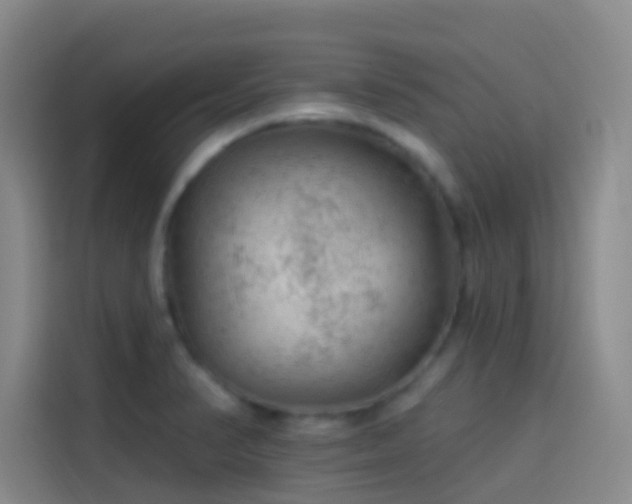 X0000114081374200910131228