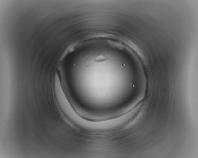 X0000114081377200910131228