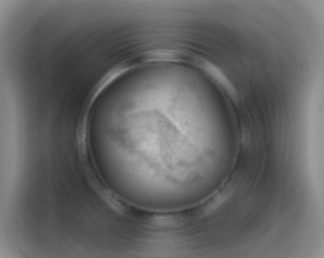 X0000114081378200910131228