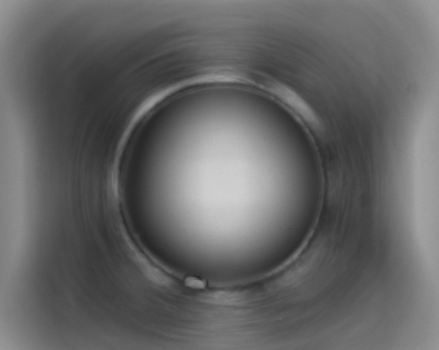 X0000114081380200910131228