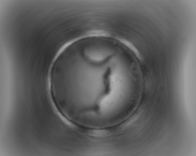 X0000114081383200910131228