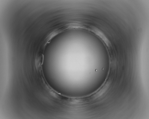 X0000114081385200910131228