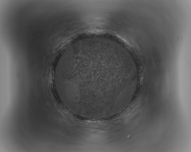 X0000114081397200910131227