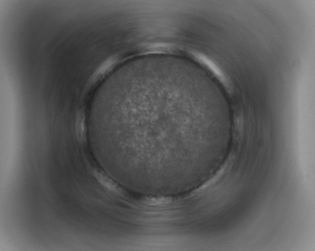 X0000114081403200910131227