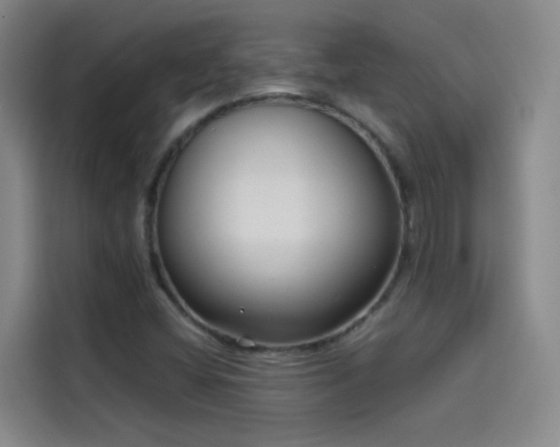 X0000114081404200910131227