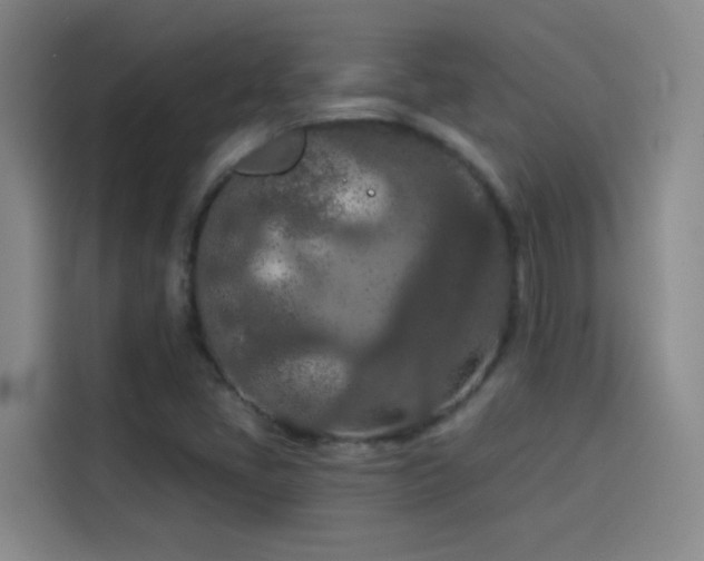 X0000114081405200910131227