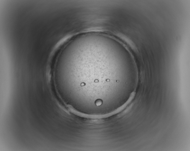 X0000114081406200910131227