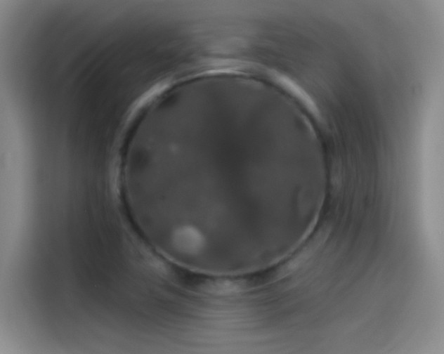 X0000114081411200910131227