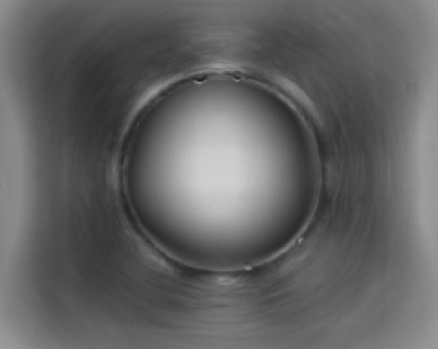 X0000114081412200910131227