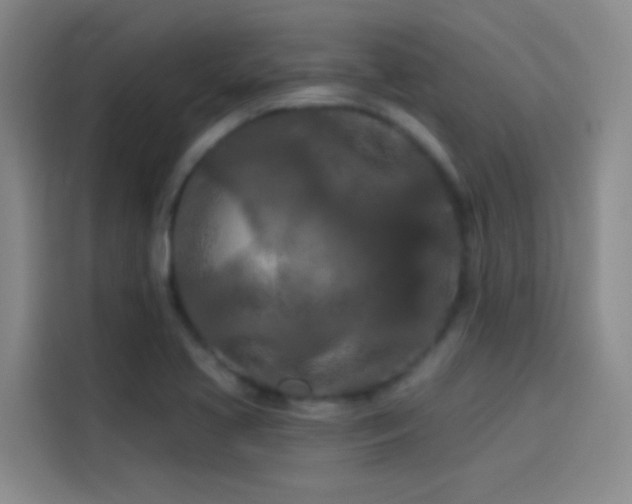 X0000114081413200910131227