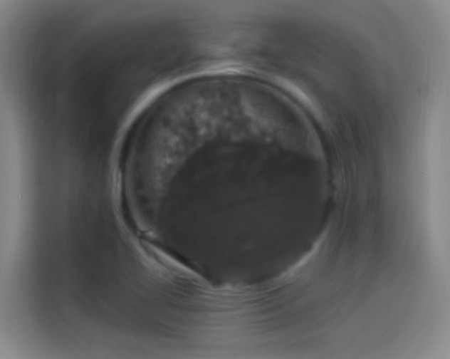 X0000114081414200910131227