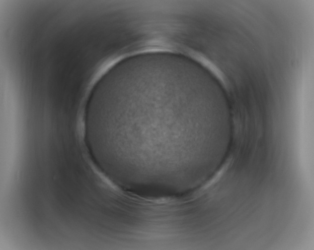 X0000114081415200910131227