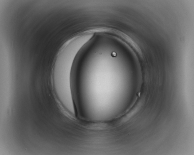 X0000114081417200910131227