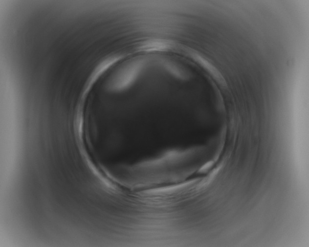 X0000114081418200910131227