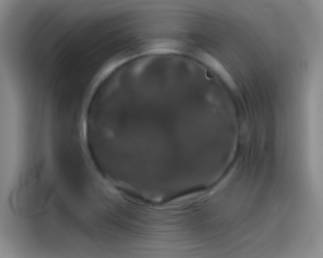 X0000114081419200910131227