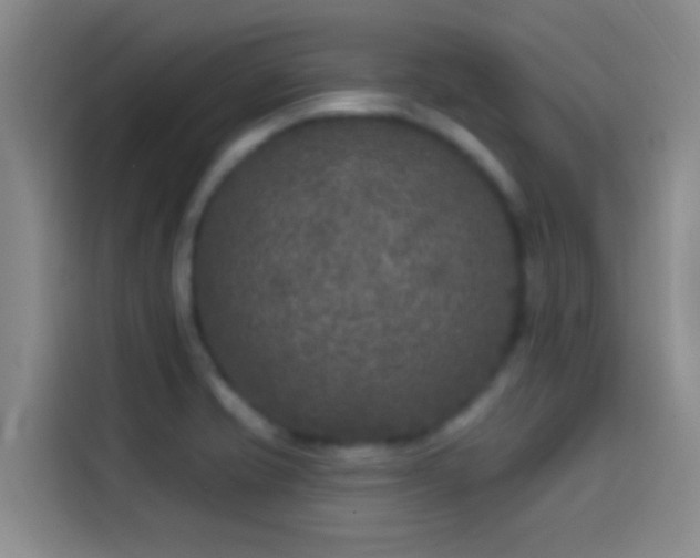 X0000114081421200910131227