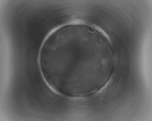 X0000114081429200910131227