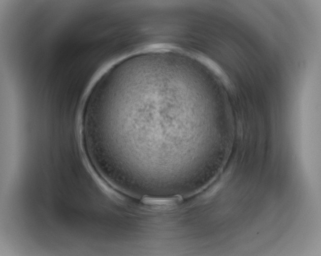 X0000114081430200910131227