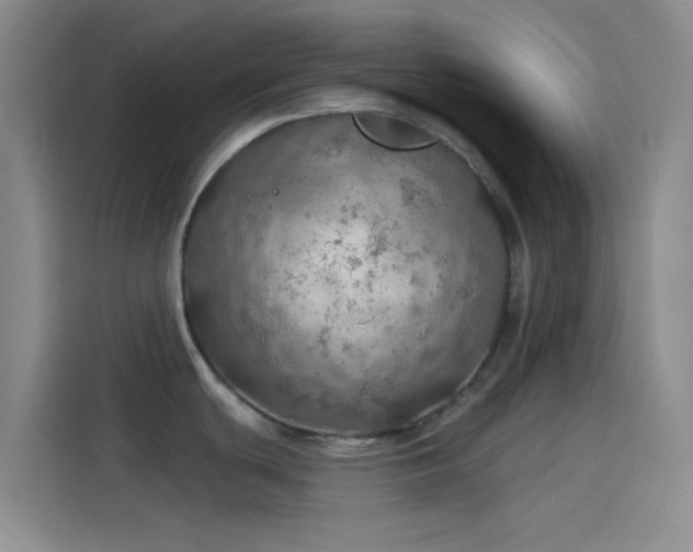 X0000114081439200910131227