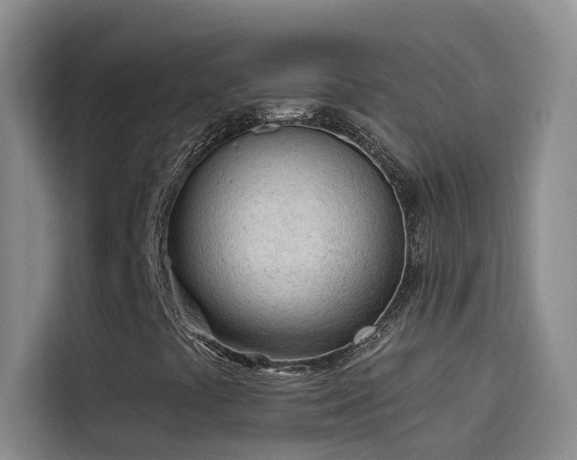 X0000114081441200910131227