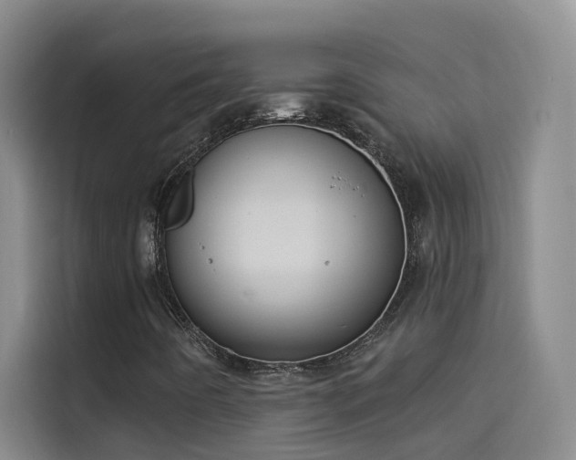 X0000114081442200910131227