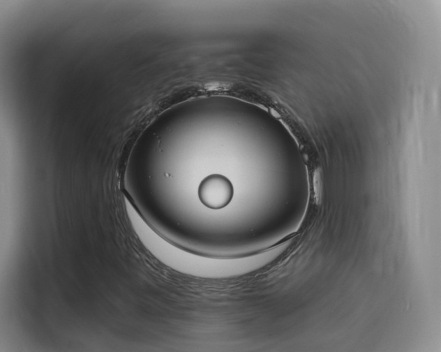 X0000114081443200910131227