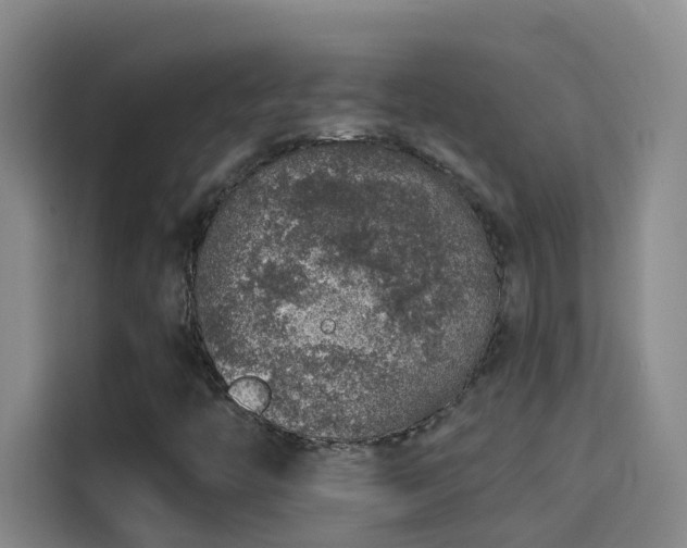 X0000114081446200910131227