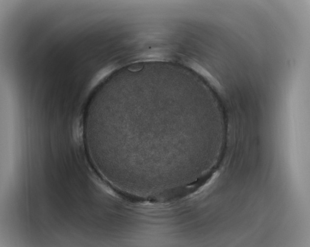 X0000114081450200910131227