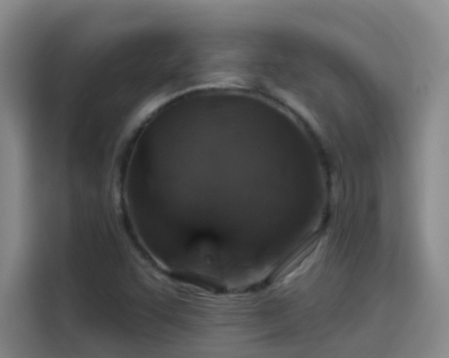 X0000114081455200910131227