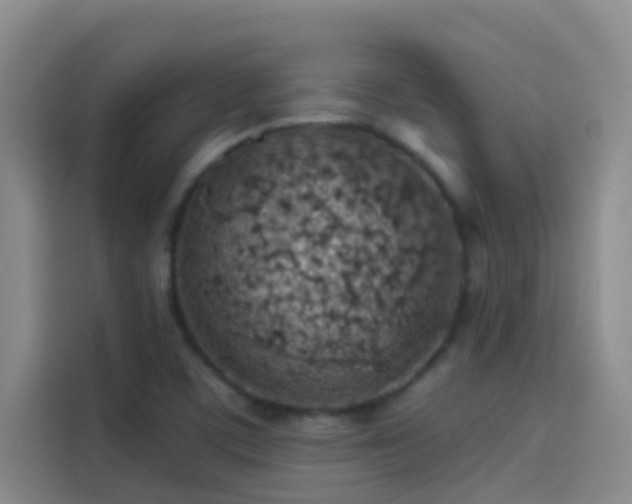 X0000114081459200910131227