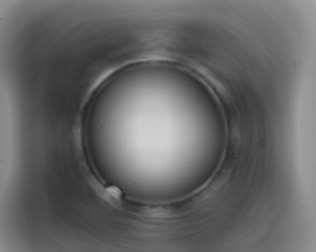 X0000114081460200910131227