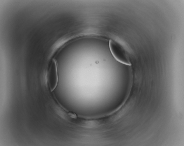 X0000114081461200910131227