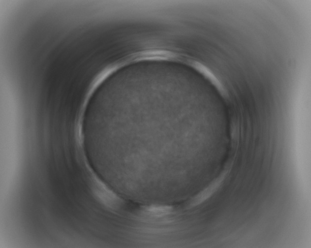 X0000114081466200910131227