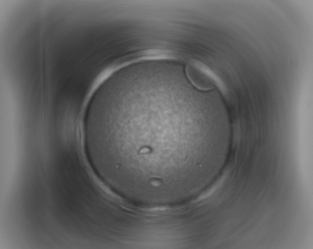 X0000114081467200910131227