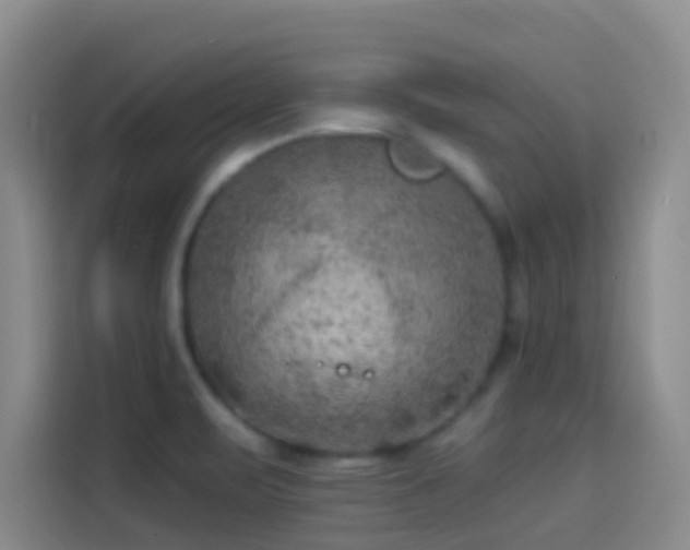 X0000114081471200910131226