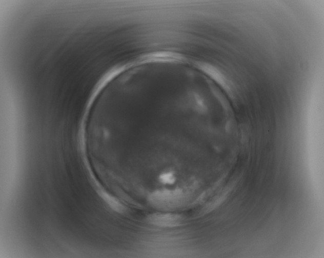 X0000114081474200910131226