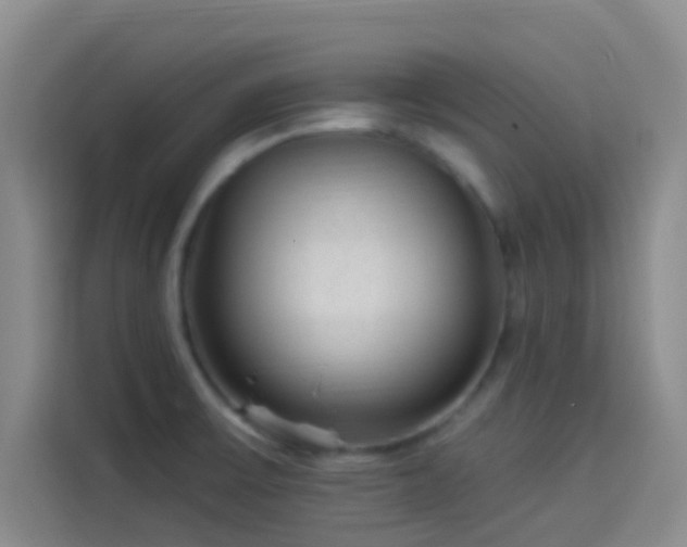 X0000114081475200910131226