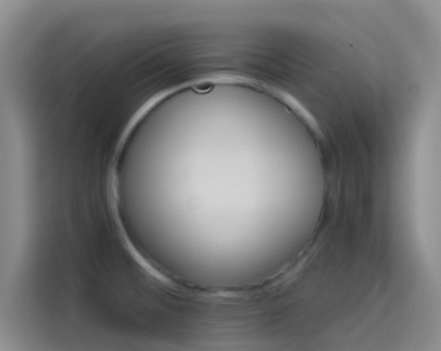 X0000114081476200910131226