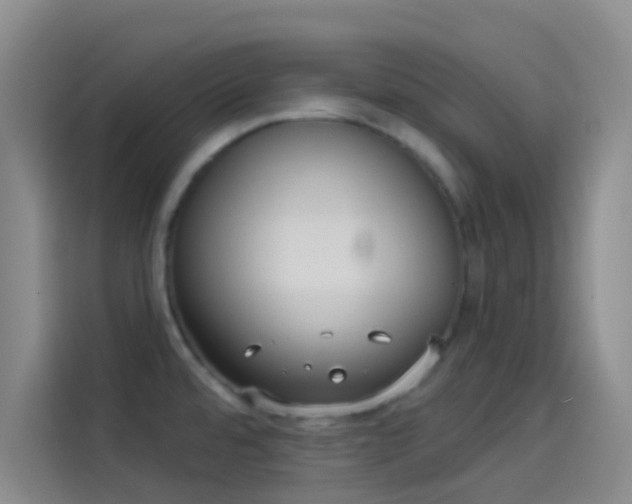 X0000114081480200910131226