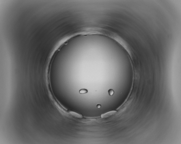 X0000114081485200910131226