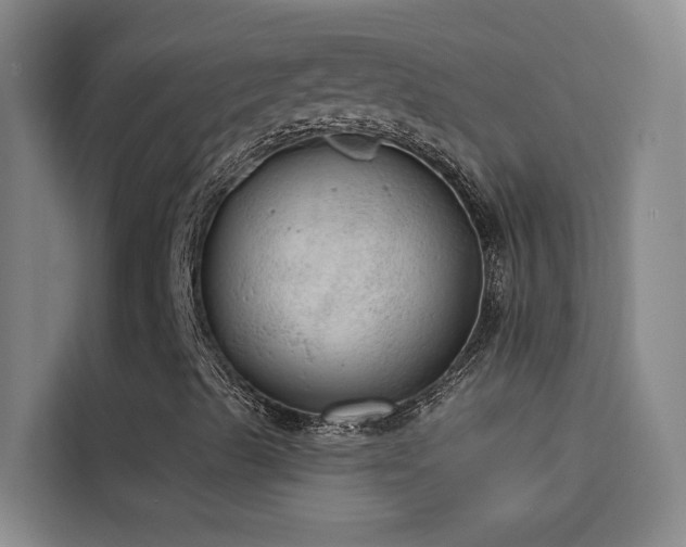 X0000114081489200910131226