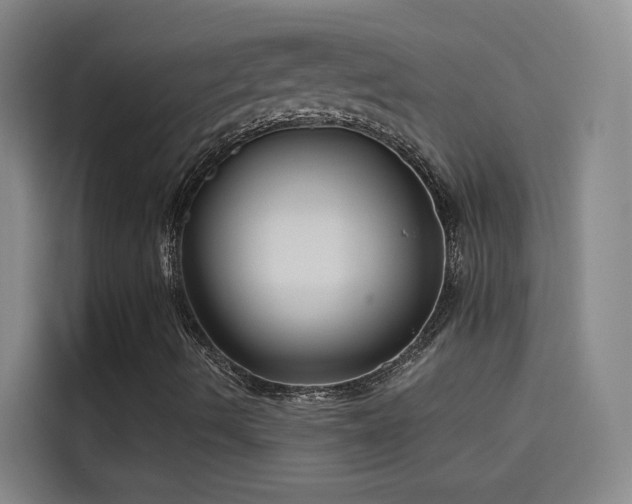 X0000114081490200910131226