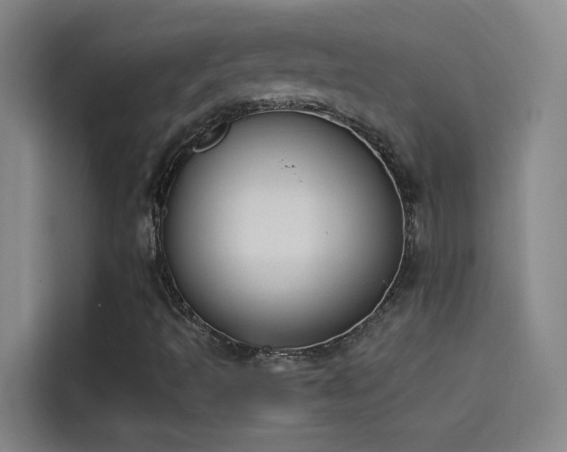 X0000114081493200910131226