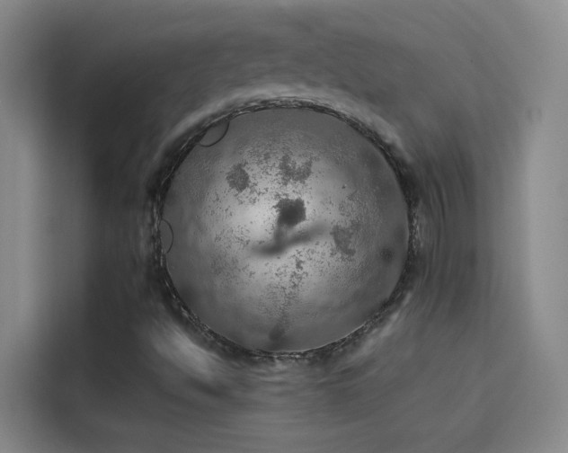 X0000114081494200910131226