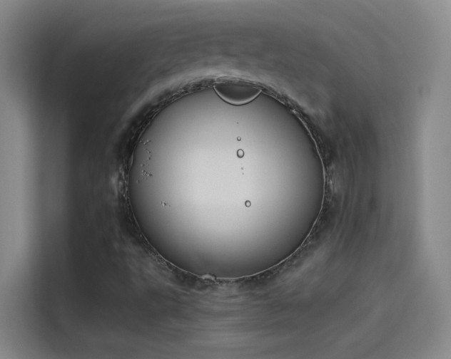 X0000114081495200910131226