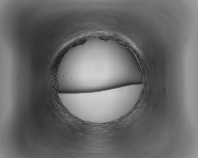 X0000114081496200910131226