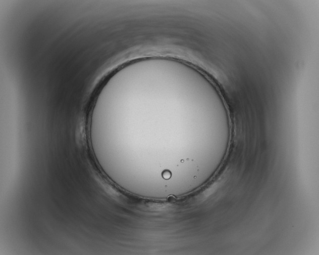 X0000114081498200910131226