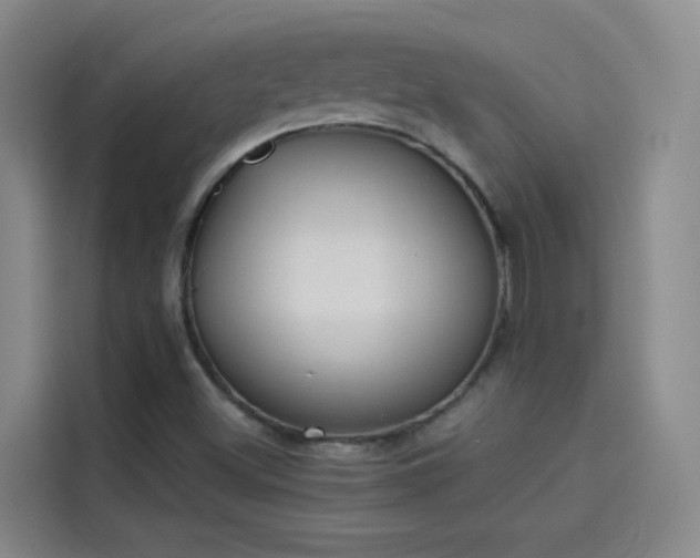 X0000114081500200910131226