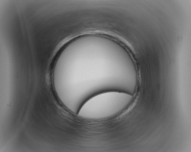 X0000114081501200910131226